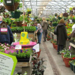 greenhouse