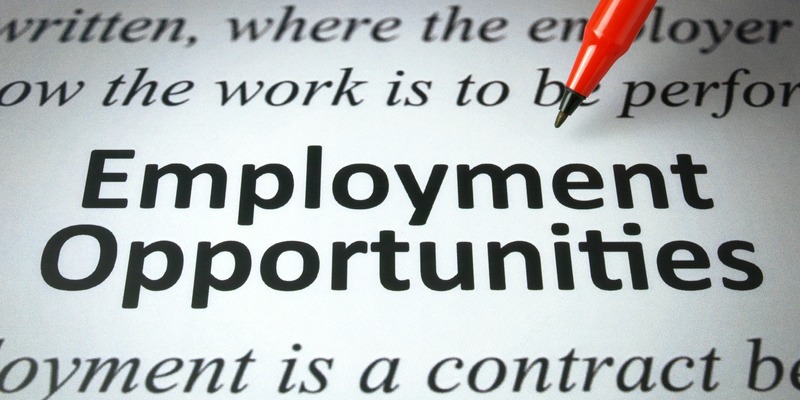 jobs in martin city