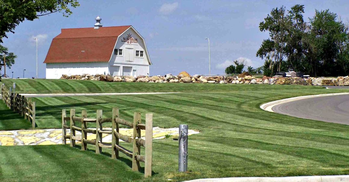 Suburban Lawn Garden Martin City