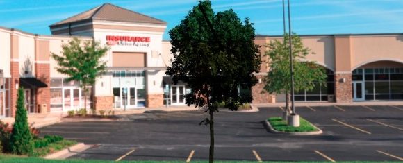 Retail Space Lease