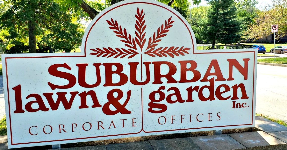 Suburban Lawn Garden Martin City