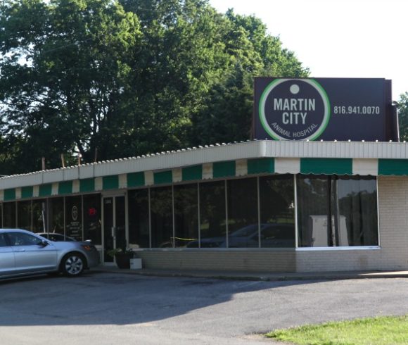 Martin City Animal Hospital