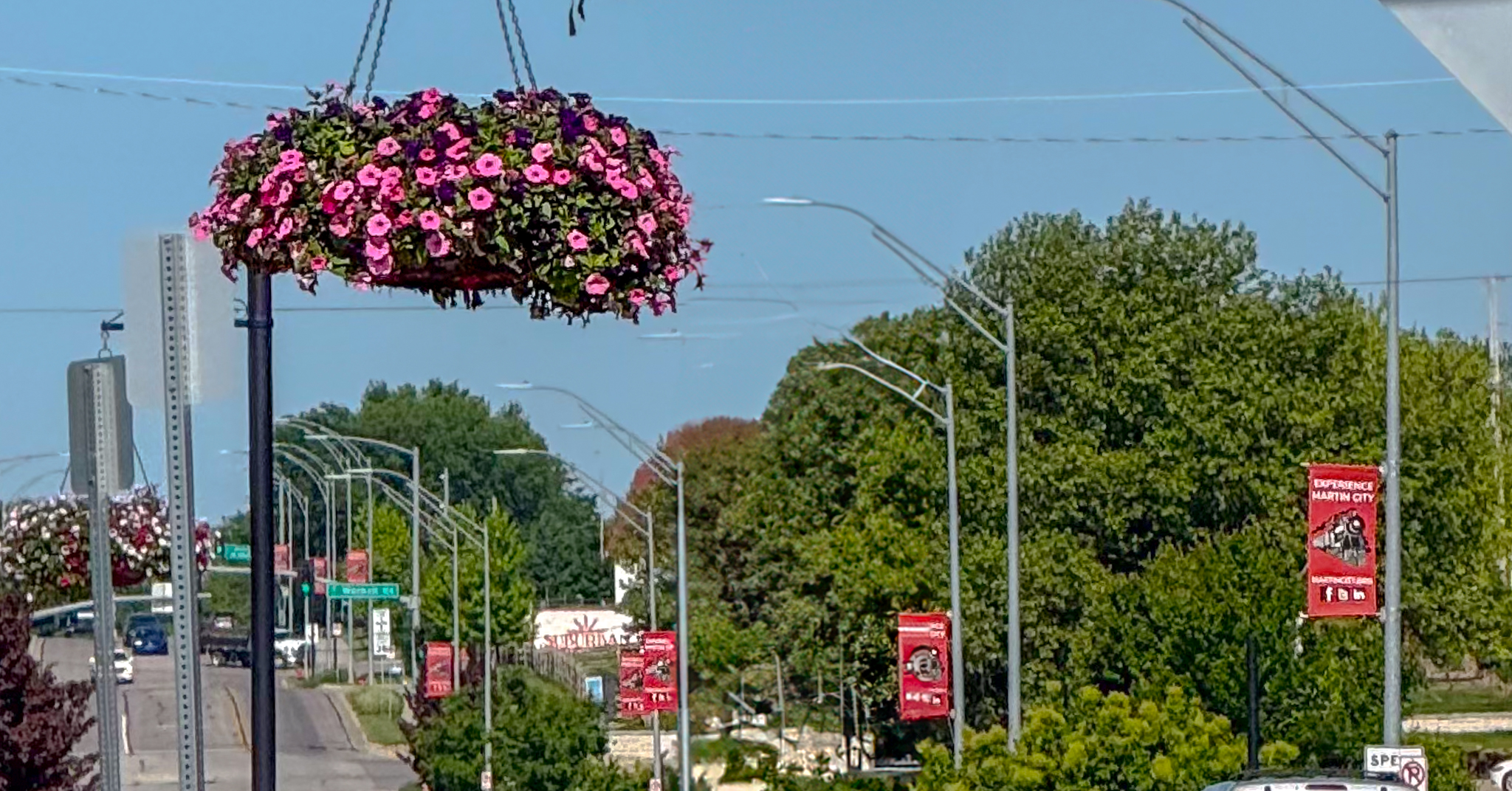 Flowers seen along 135th street