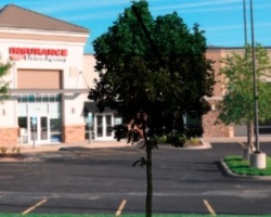 13608-13610 Washington,Missouri,United States 64145,Office,13608-13610 Washington,1012